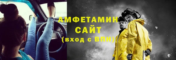 ECSTASY Бородино