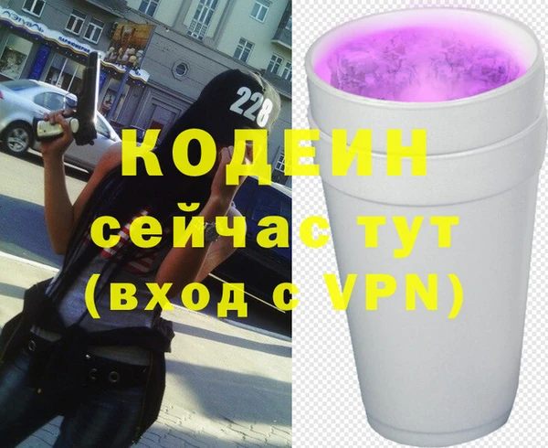 ECSTASY Бородино