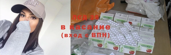 ECSTASY Бородино