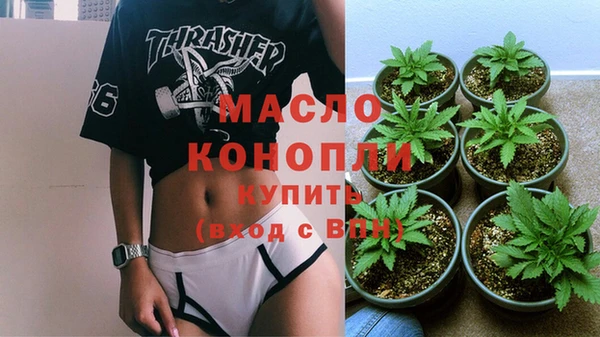 ECSTASY Бородино