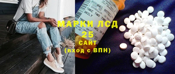 ECSTASY Бородино