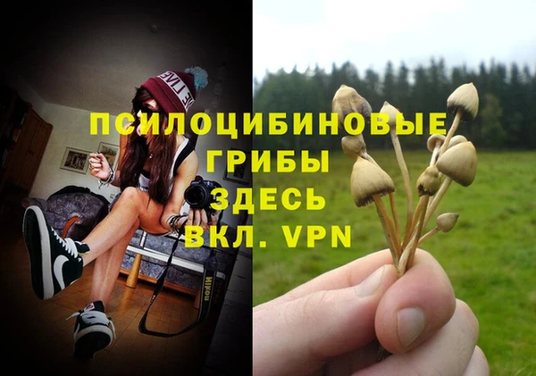 а пвп мука Бугульма