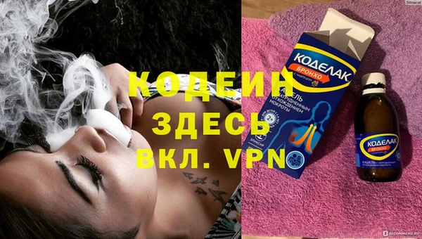 ECSTASY Бородино