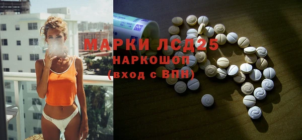 ECSTASY Бородино