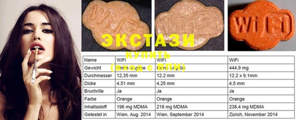 ECSTASY Бородино