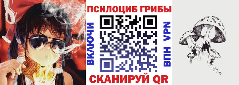 наркота  Северская  KRAKEN рабочий сайт  Псилоцибиновые грибы мухоморы 