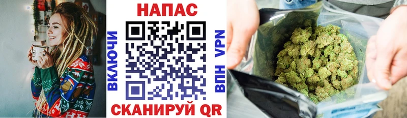 blacksprut зеркало  Северская  Шишки марихуана тримм 